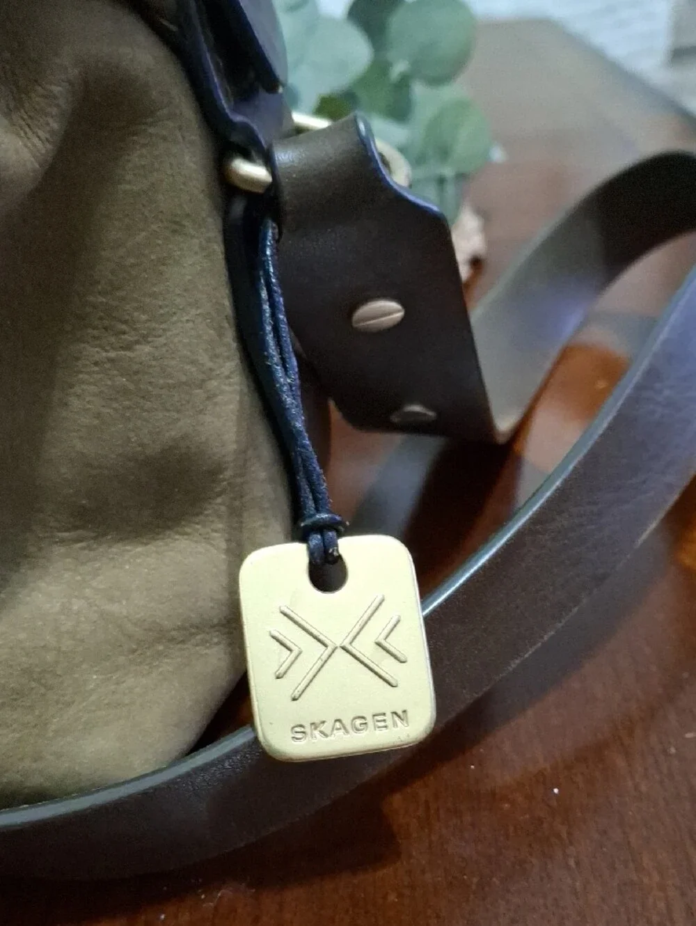 Skagen Leather Crossbody Bag in Olive with Dark Brown Adjustable Strap